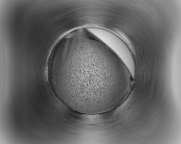 X0000088431340200706051223