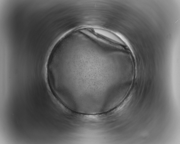 X0000088431341200706051223