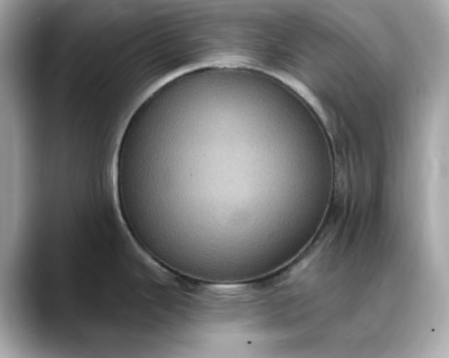 X0000088431343200706051223