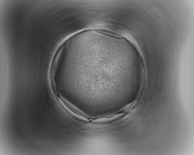 X0000088431344200706051223