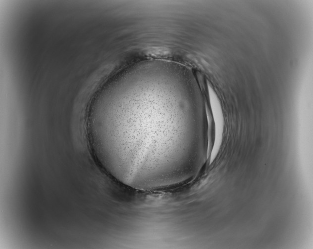 X0000088431345200706051223