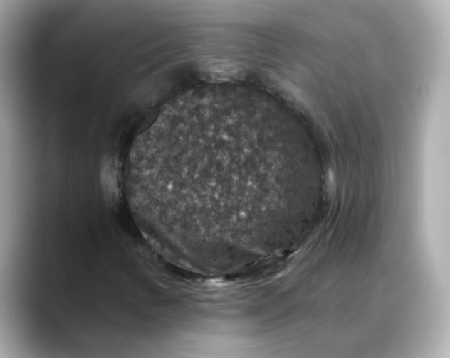 X0000088431346200706051223