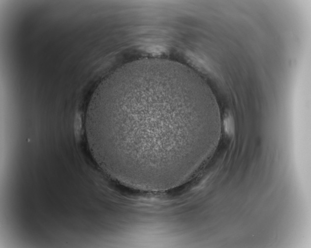 X0000088431347200706051223