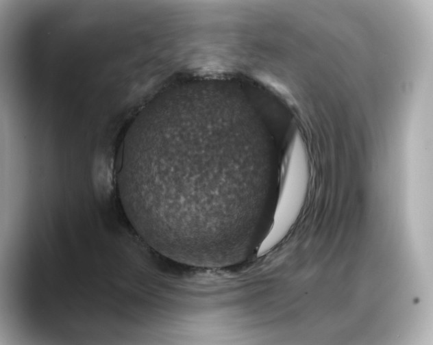 X0000088431348200706051223