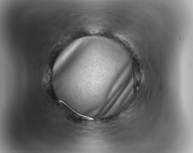 X0000088431349200706051223