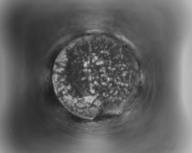 X0000088431351200706051222