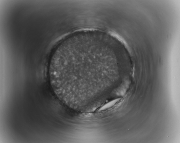 X0000088431352200706051222