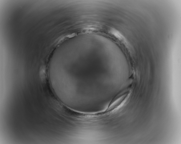 X0000088431353200706051222