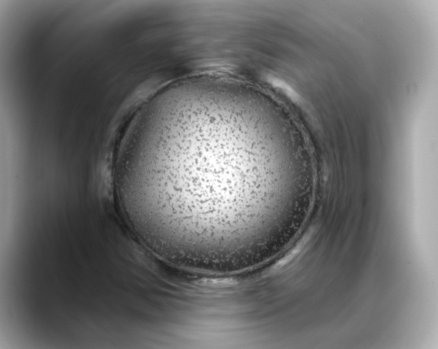 X0000088431354200706051222