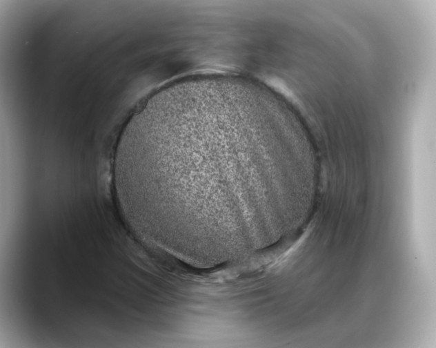 X0000088431355200706051222