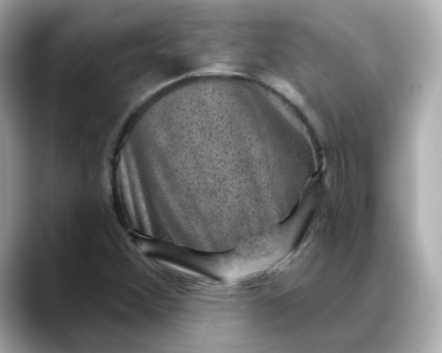 X0000088431356200706051222