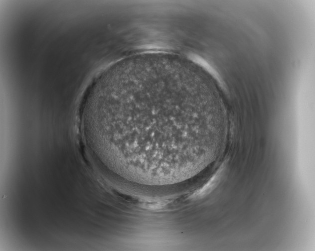 X0000088431357200706051222