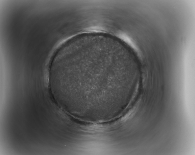 X0000088431358200706051222