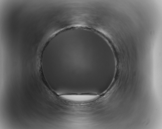 X0000088431359200706051222