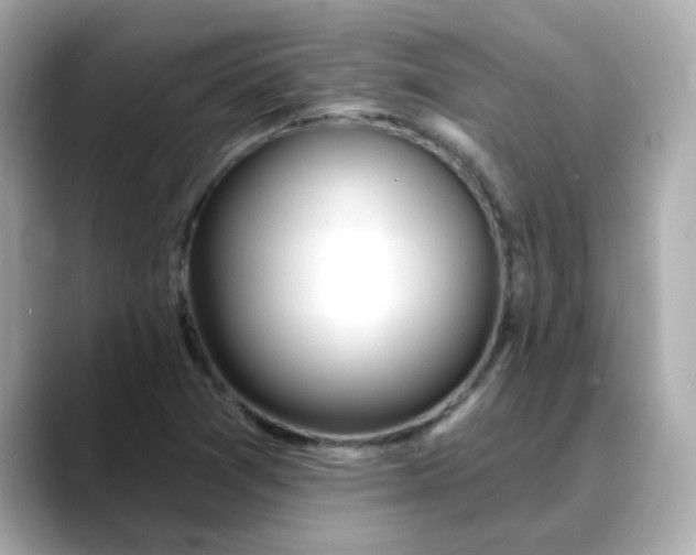 X0000088431361200706051222