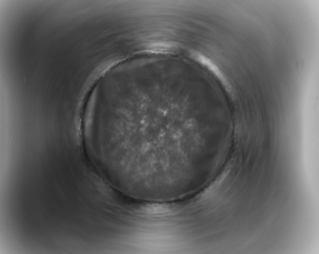 X0000088431362200706051222