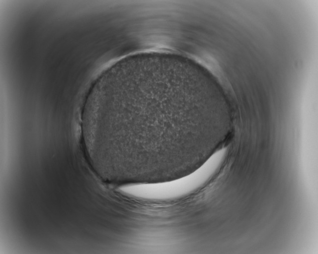 X0000088431363200706051222