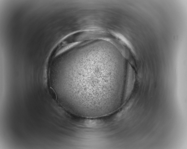 X0000088431364200706051222