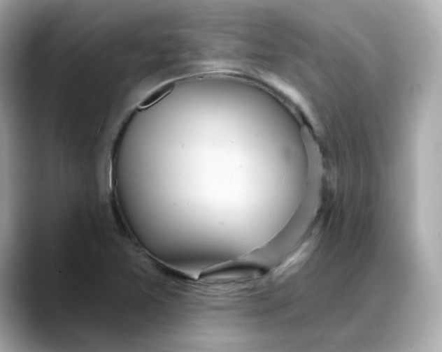 X0000088431365200706051222