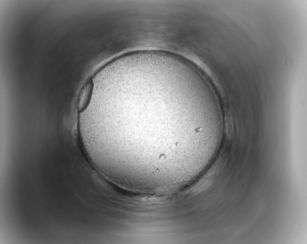 X0000088431366200706051222