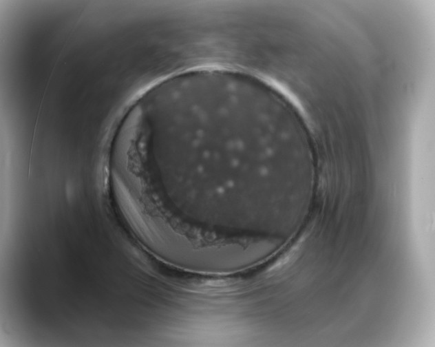 X0000088431367200706051222