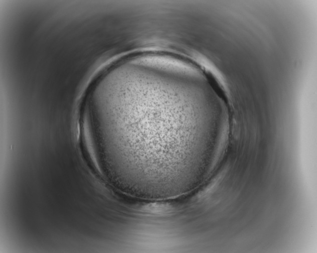 X0000088431368200706051222