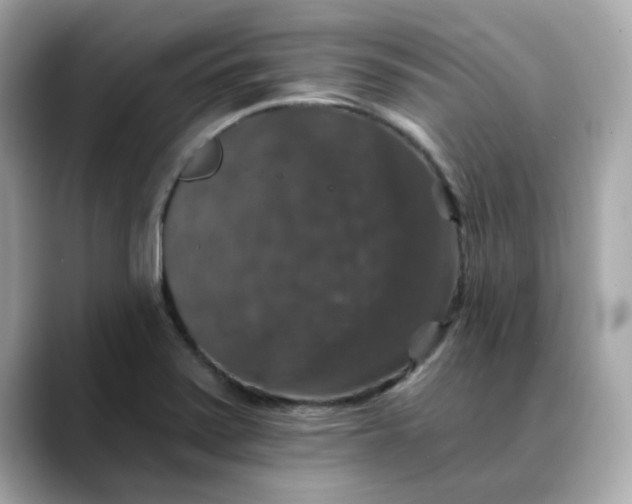 X0000088431371200706051222