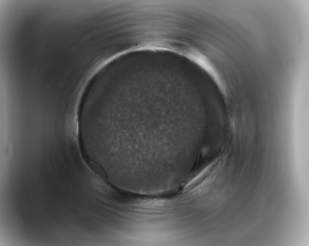 X0000088431372200706051222