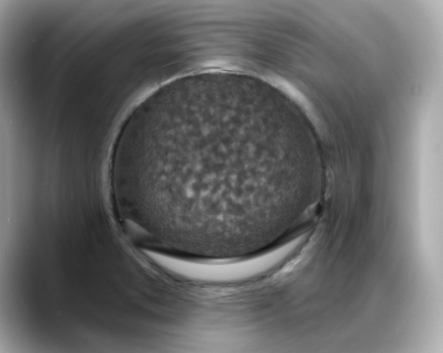 X0000088431373200706051222