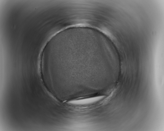 X0000088431374200706051222