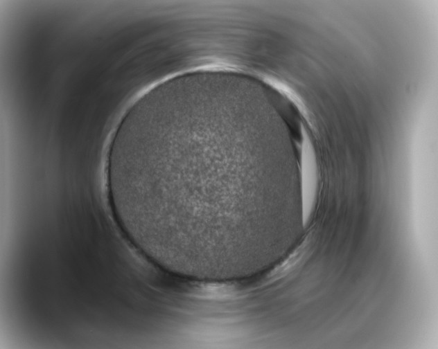 X0000088431375200706051222