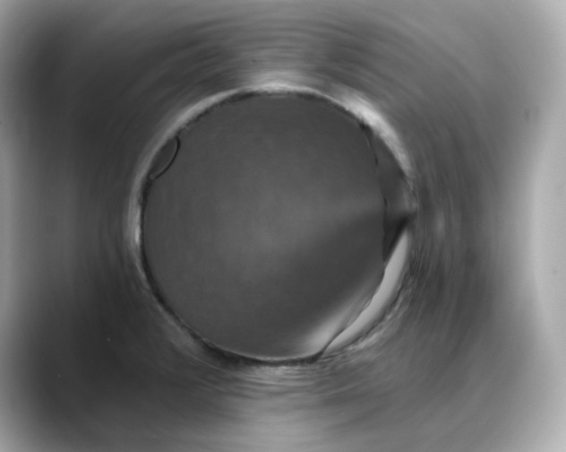 X0000088431376200706051222