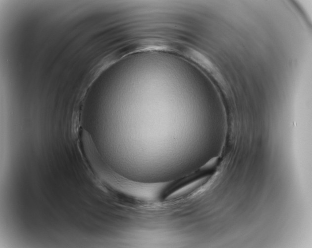 X0000088431377200706051222