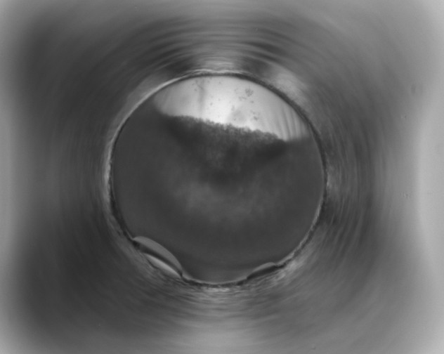 X0000088431378200706051222