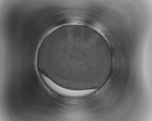 X0000088431379200706051222