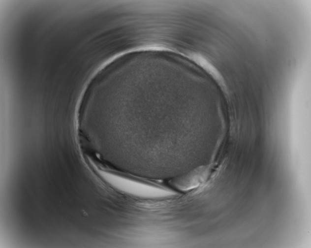 X0000088431380200706051222