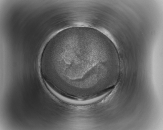 X0000088431381200706051222