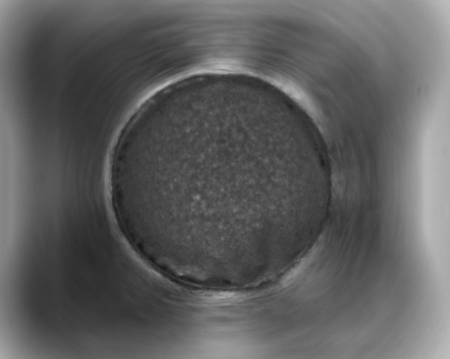 X0000088431382200706051222