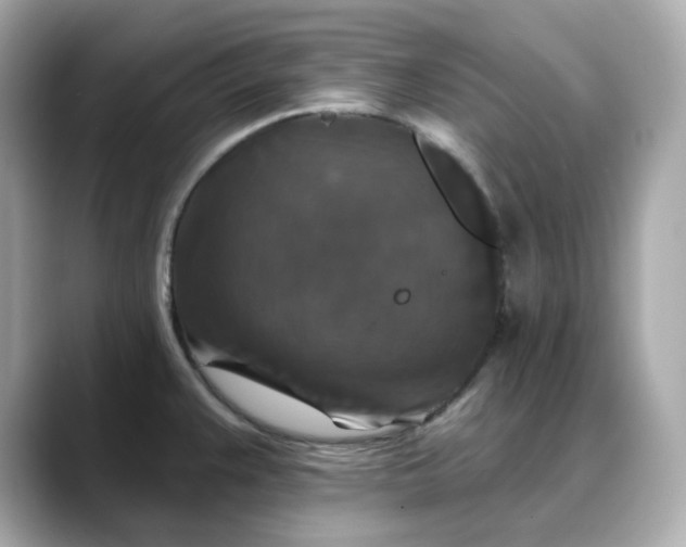 X0000088431383200706051222