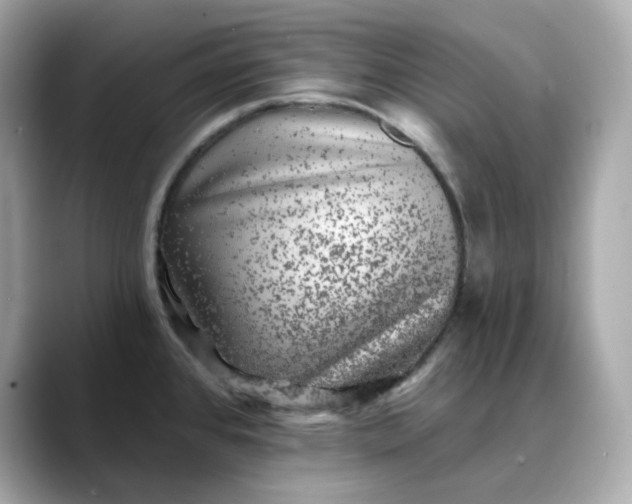 X0000088431384200706051222