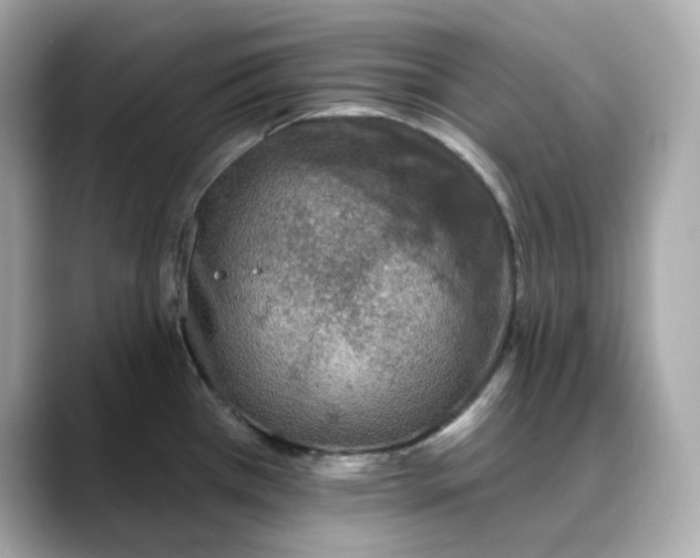 X0000088431385200706051222