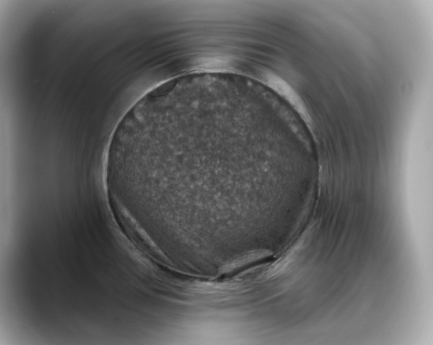 X0000088431386200706051222