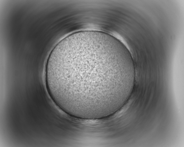 X0000088431387200706051222