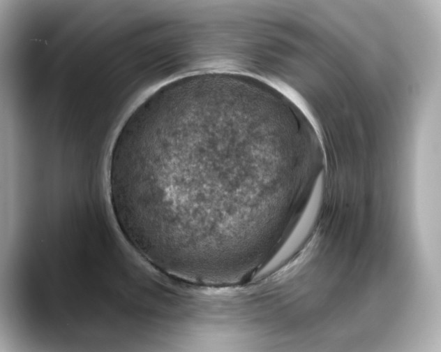 X0000088431389200706051222