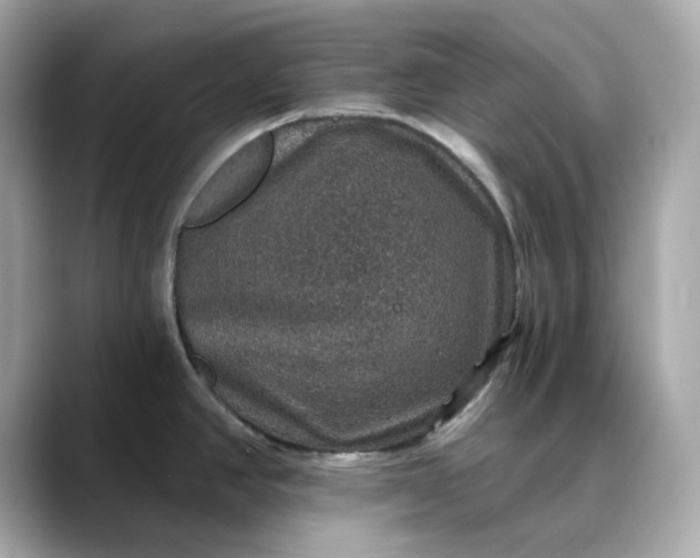 X0000088431390200706051222