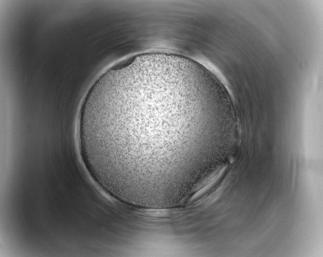 X0000088431391200706051222