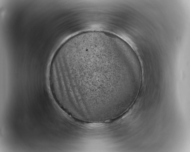 X0000088431392200706051222