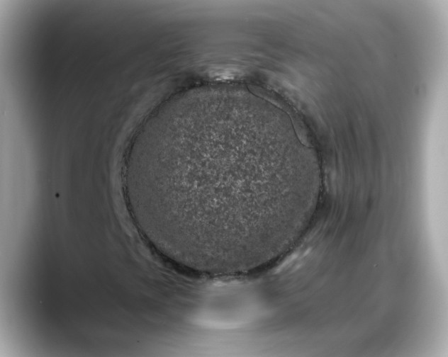 X0000088431393200706051221