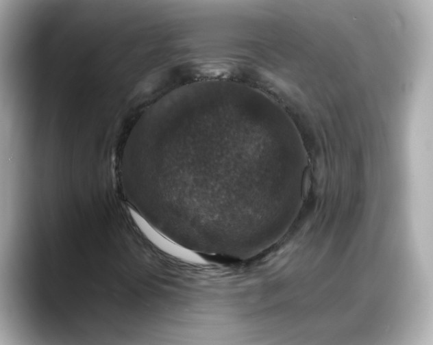 X0000088431394200706051221