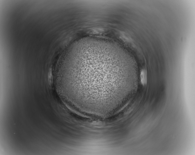 X0000088431395200706051221